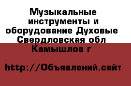 Музыкальные инструменты и оборудование Духовые. Свердловская обл.,Камышлов г.